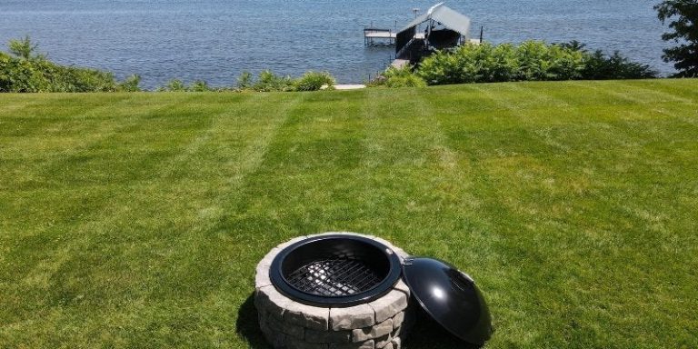 Will Grass Grow in Wood Ash