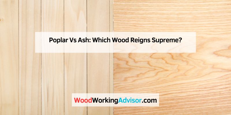 Poplar Vs Ash