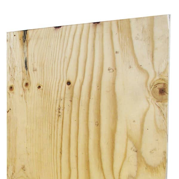 5/8 Plywood Home Depot Price