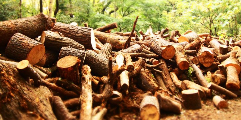 Alternatives to Cutting Your Own Firewood