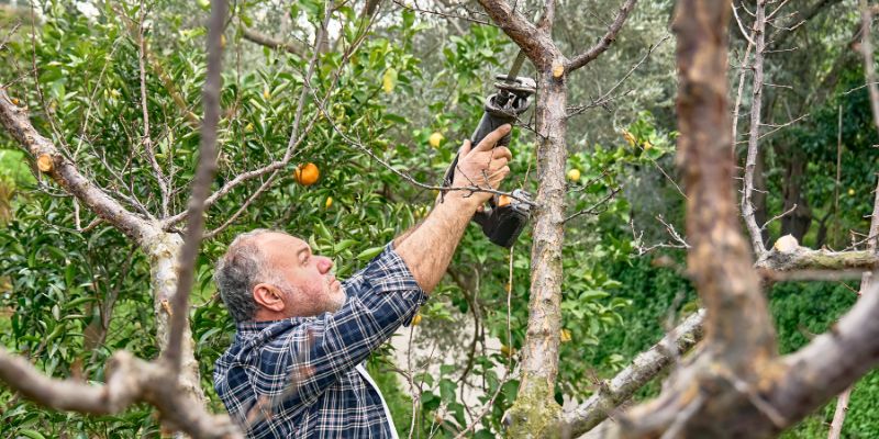 Common Mistakes to Avoid