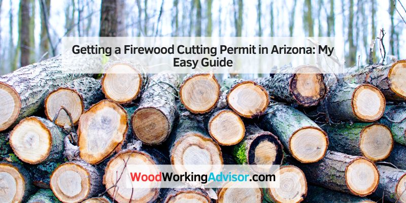 Getting a Firewood Cutting Permit in Arizona
