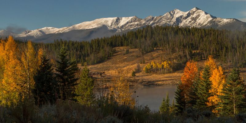 My Favorite Alpine Woods Capital Investors Story