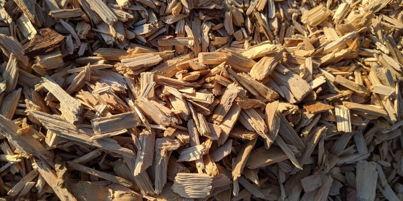 Safety Tips for Smoking Meat