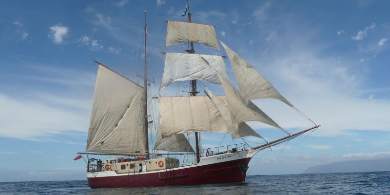 Comparing Versions of Wooden Ships