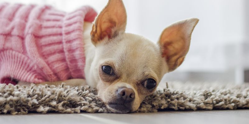 When to Seek Professional Help