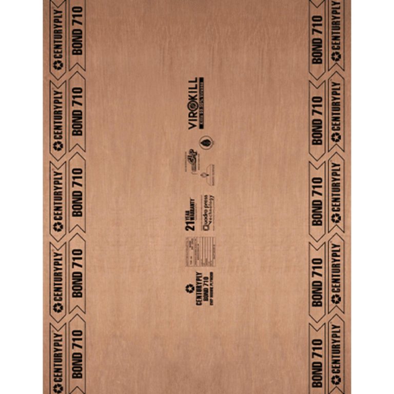 Century Plywood Share Price