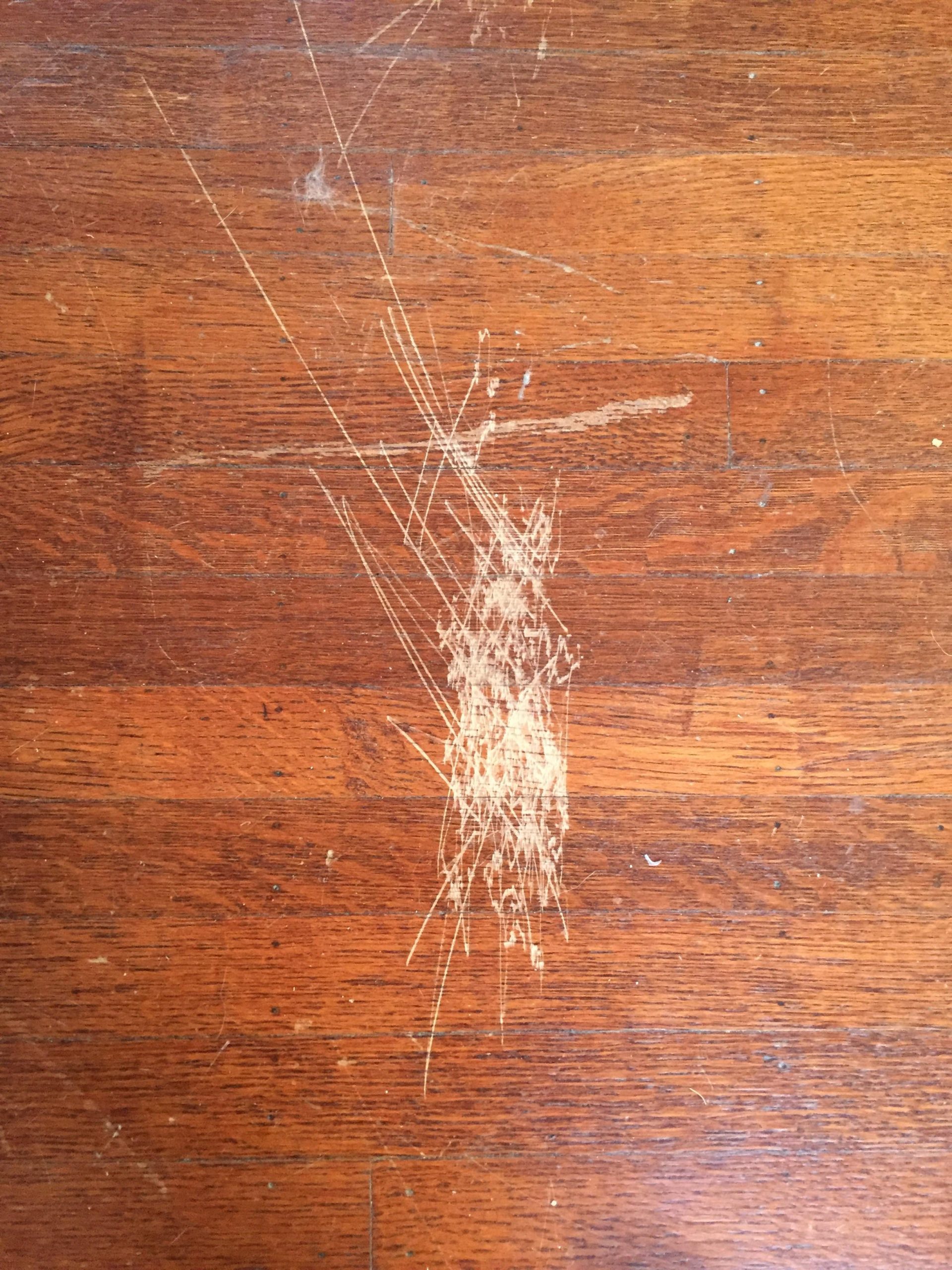 Fix Scratches in Wood Floor