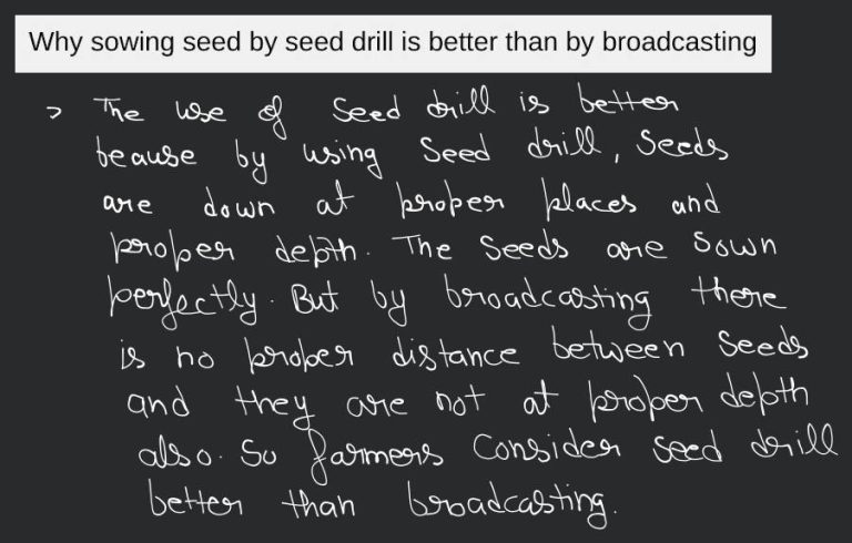 Why Sowing Seeds With Seed Drill is Better Than Broadcasting