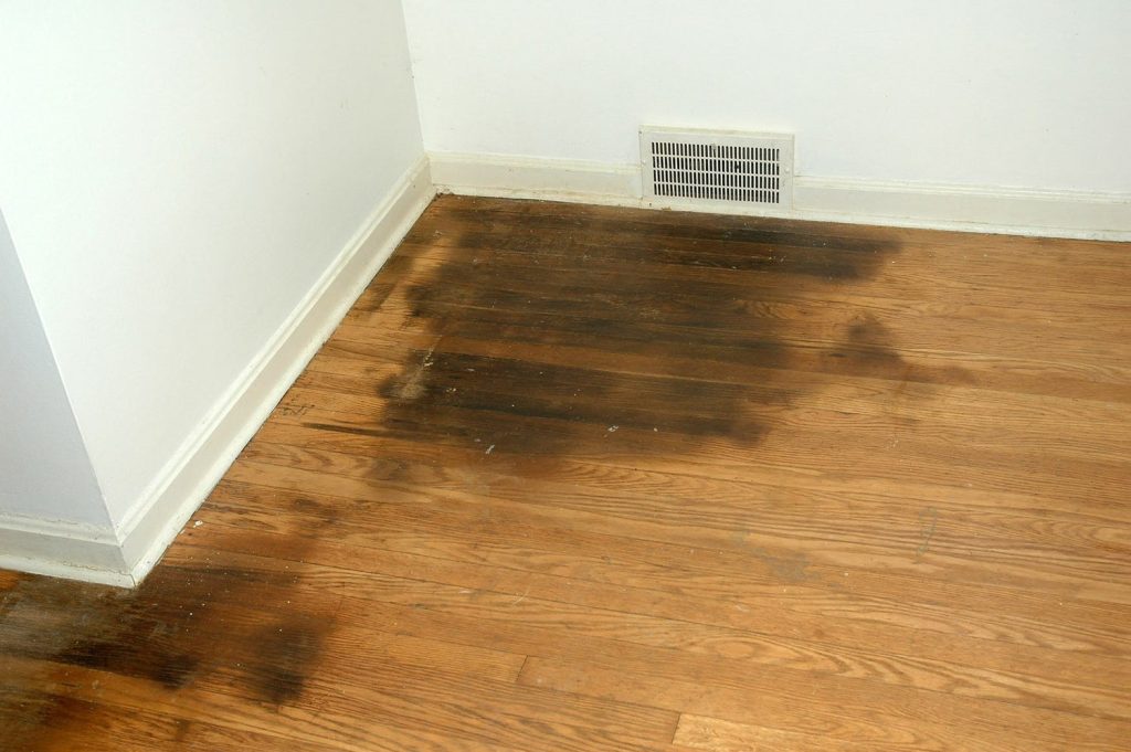 How to Get Rid of Black Stains on Hardwood Floors: Expert Tips