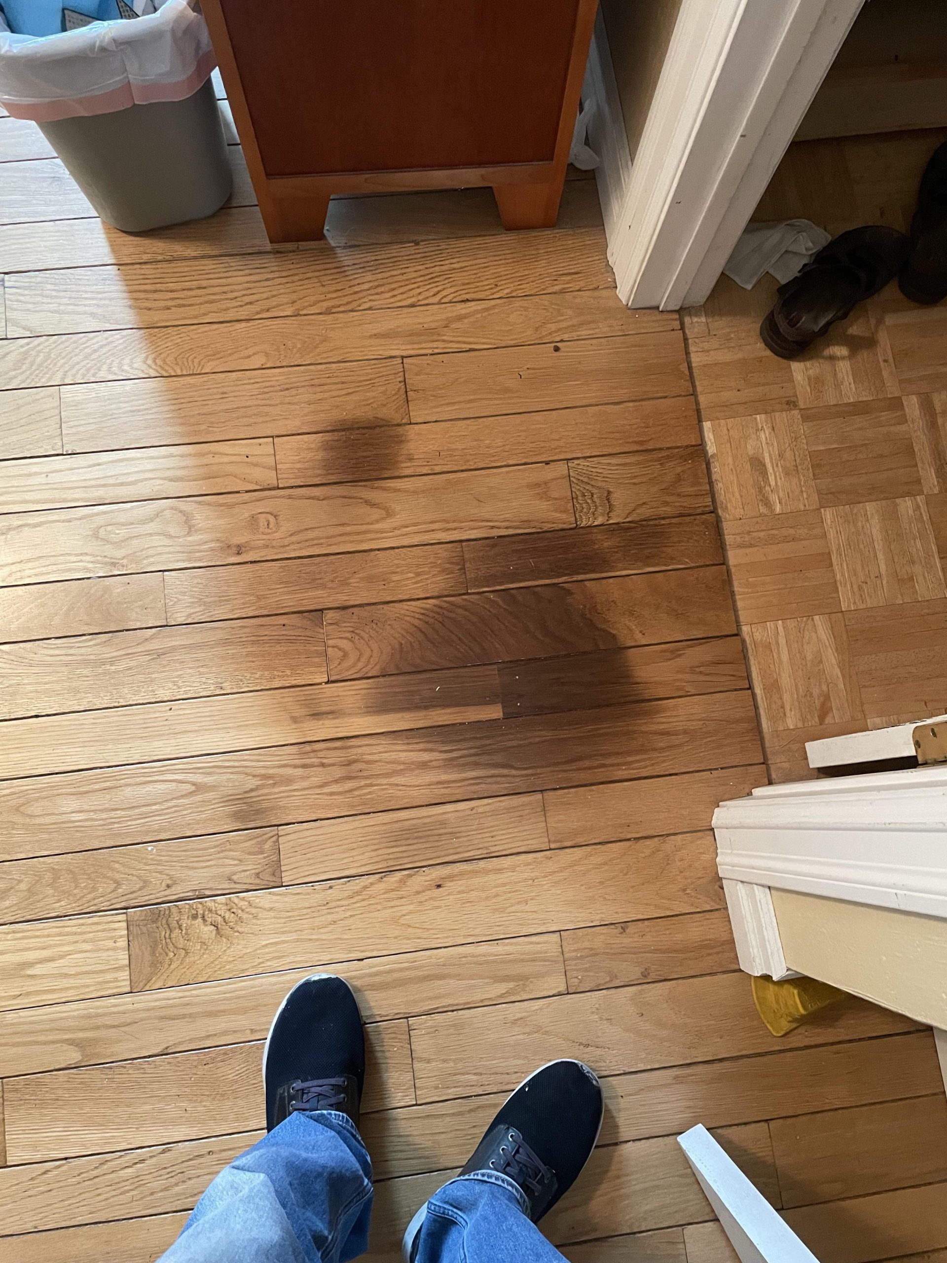 How to Remove Black Urine Stains from Wood Floors