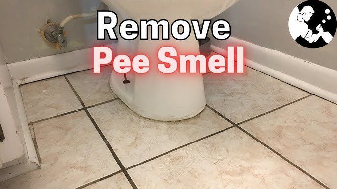 How to Remove Human Urine Stains from Tile Floor