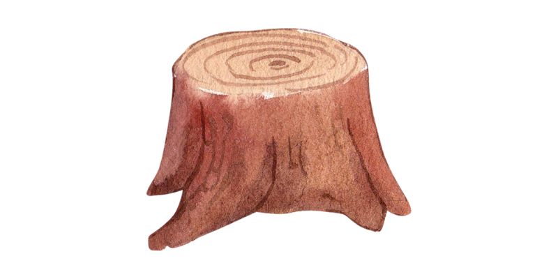 Will Painting Tree Stump Grow