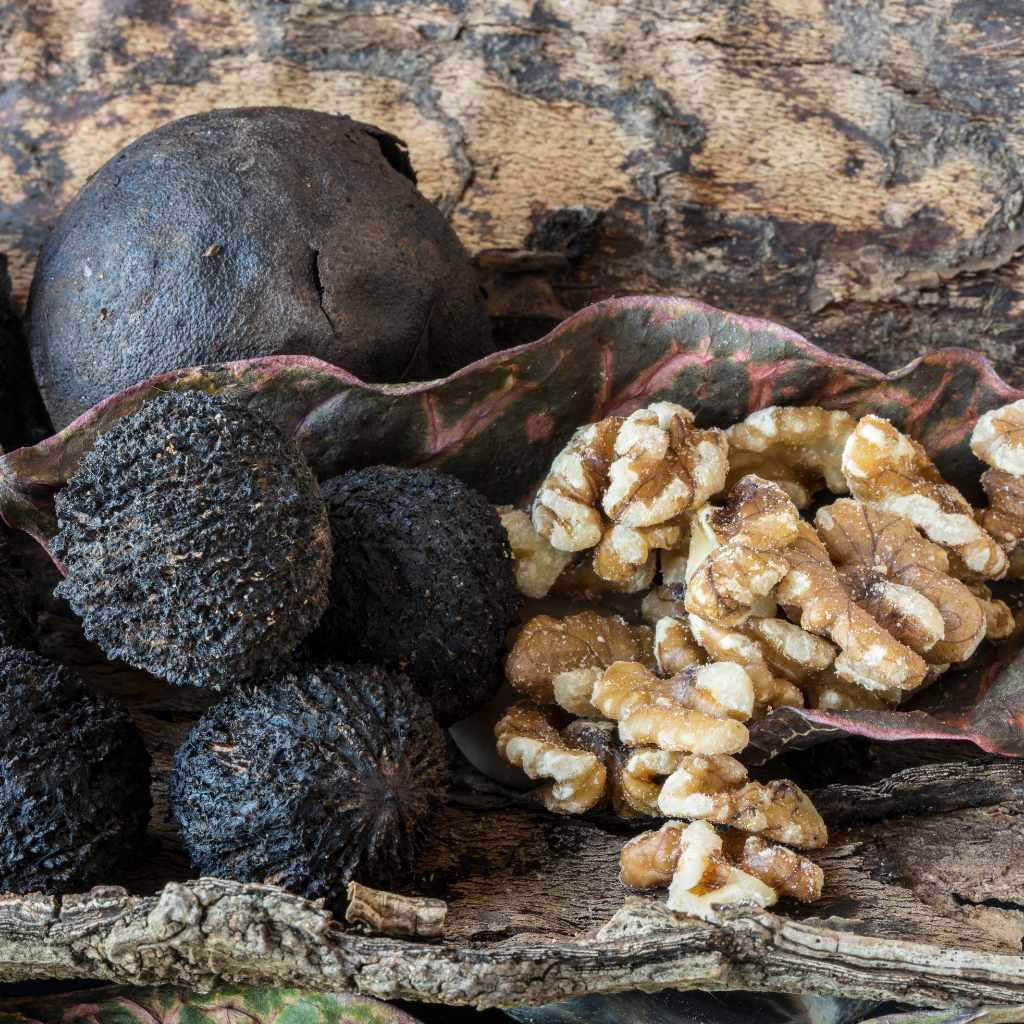 Step-by-Step Guide to Processing Black Walnuts