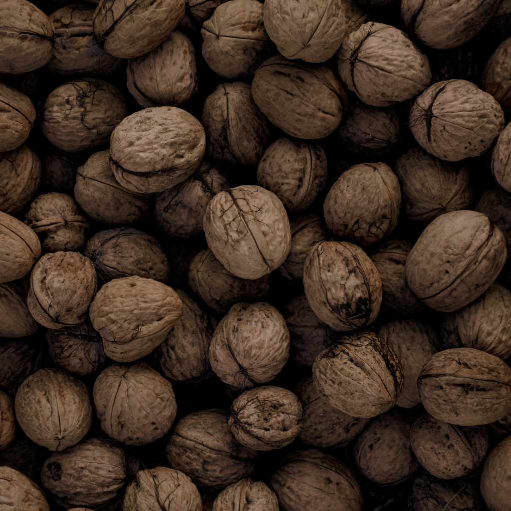 Troubleshooting Common Black Walnut Problems