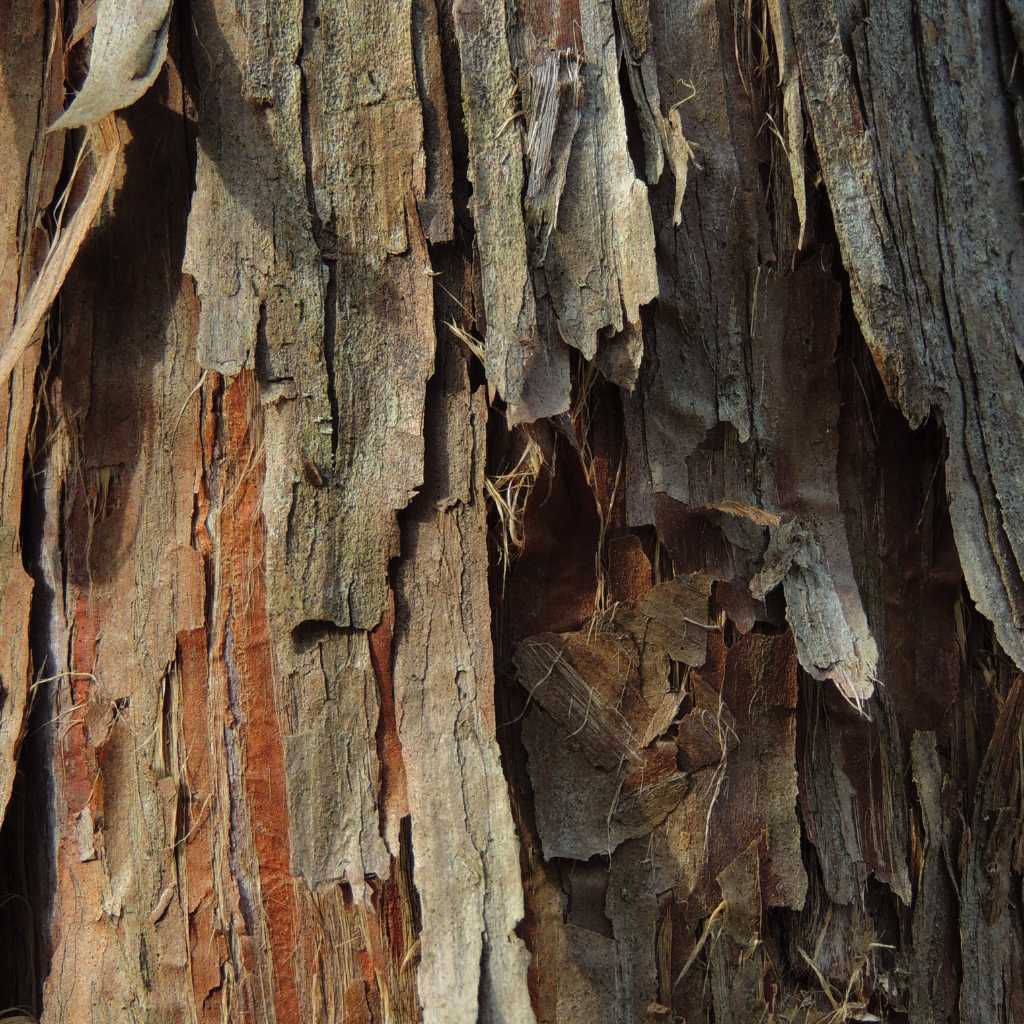 Height, Weight, And Other Body Measurements