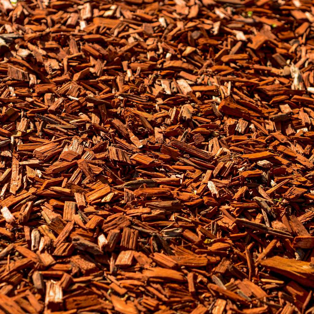 Best Cedar Mulch