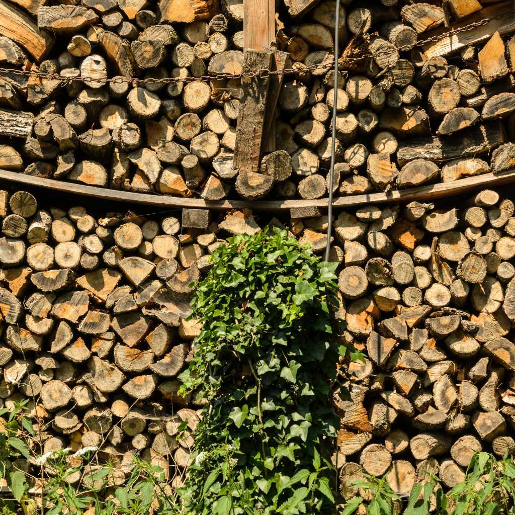 Get the Wood Off the Ground—Elevation is Essential