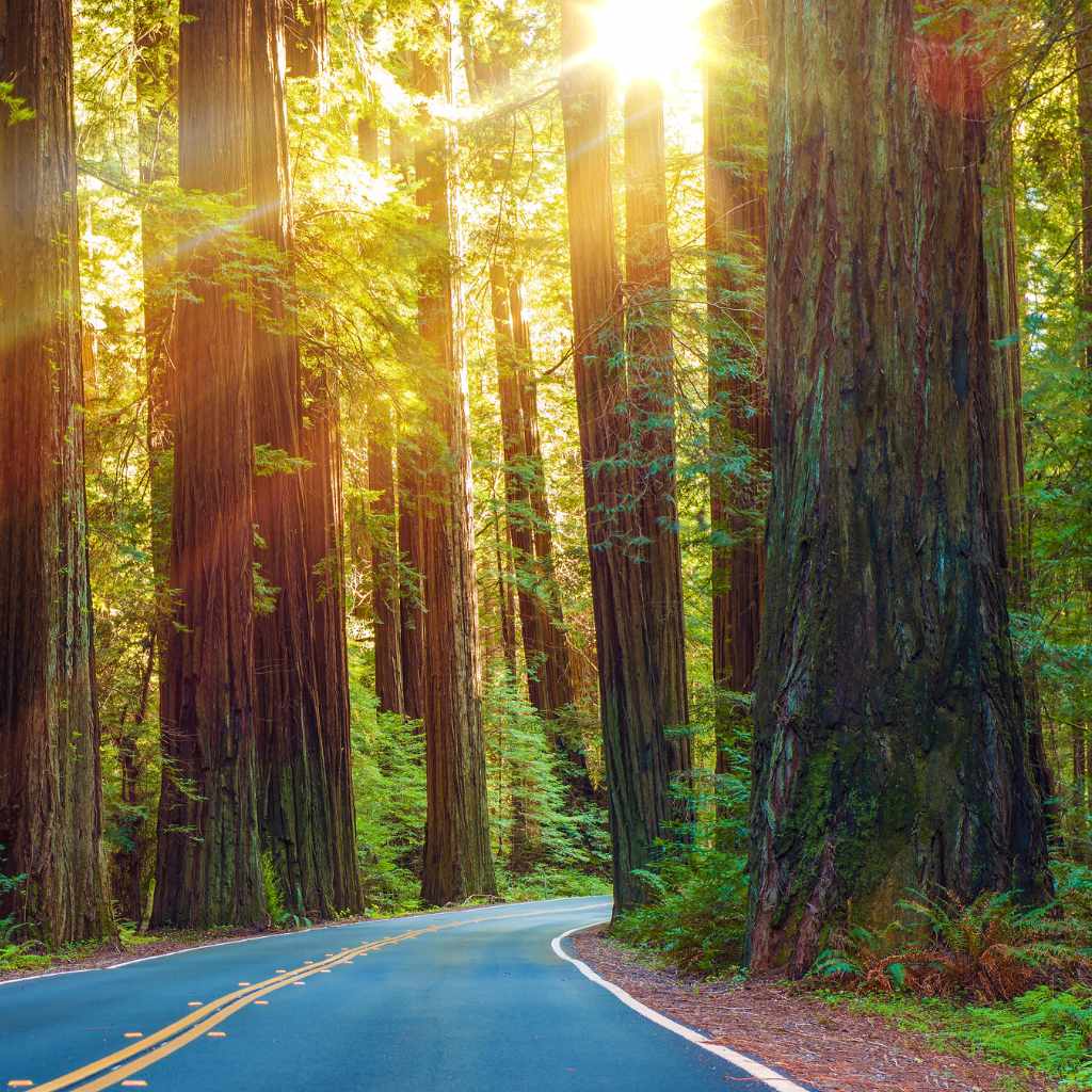  Deciding Your Destination (The RNSP Focus)