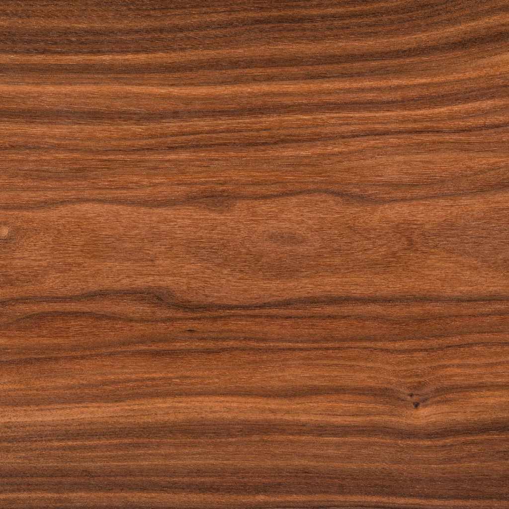 Peeking Under the Microscope