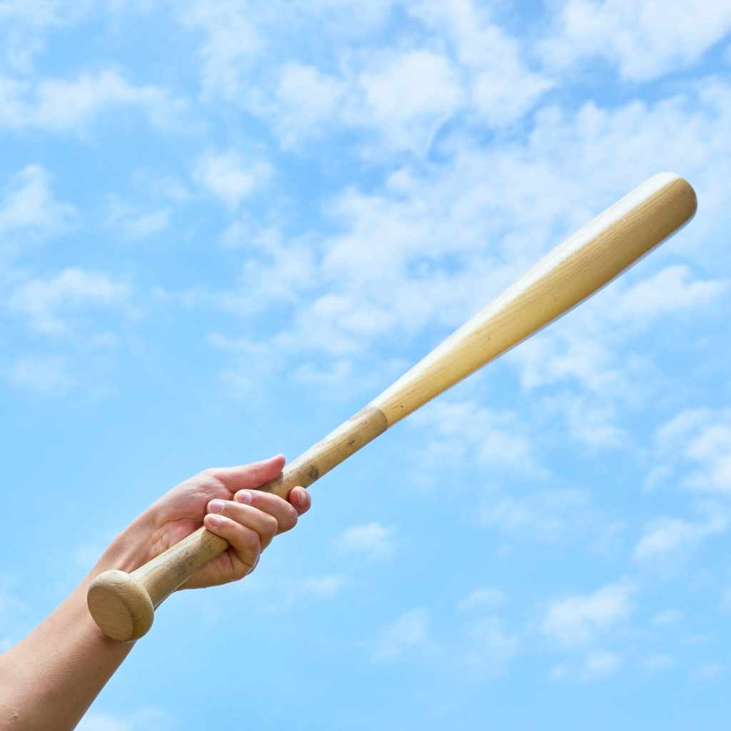 Environmental Impact