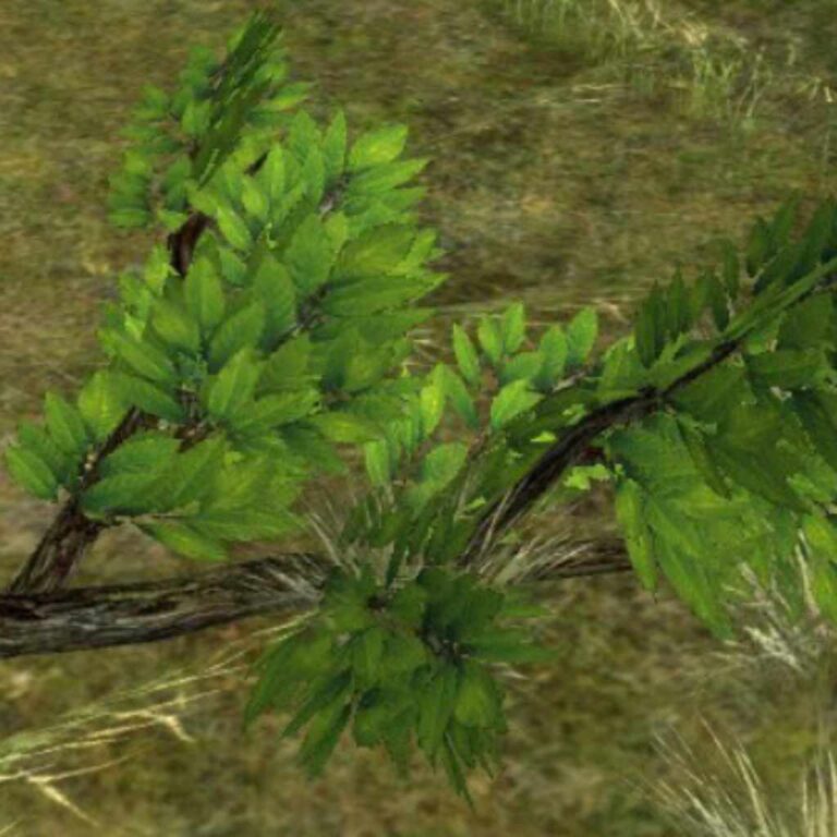 Ash Wood LOTRO Where to Find and How to Use