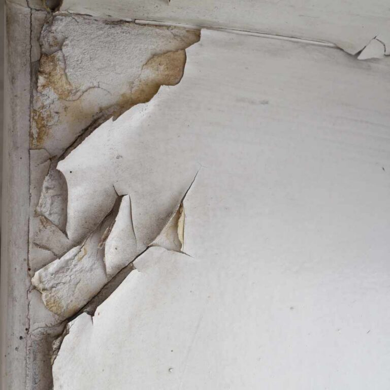 Best Way to Remove Peeling Paint