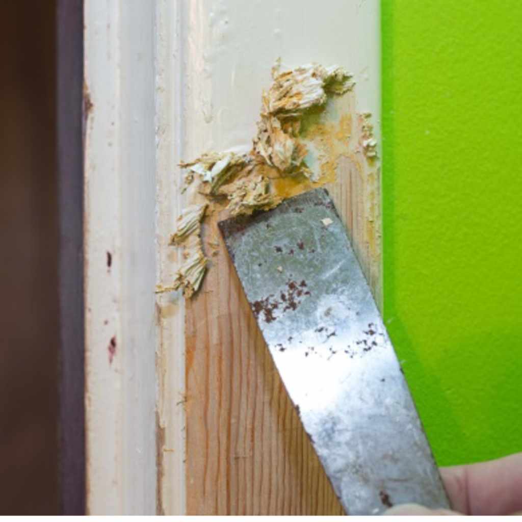 Tools Needed For Paint Removal