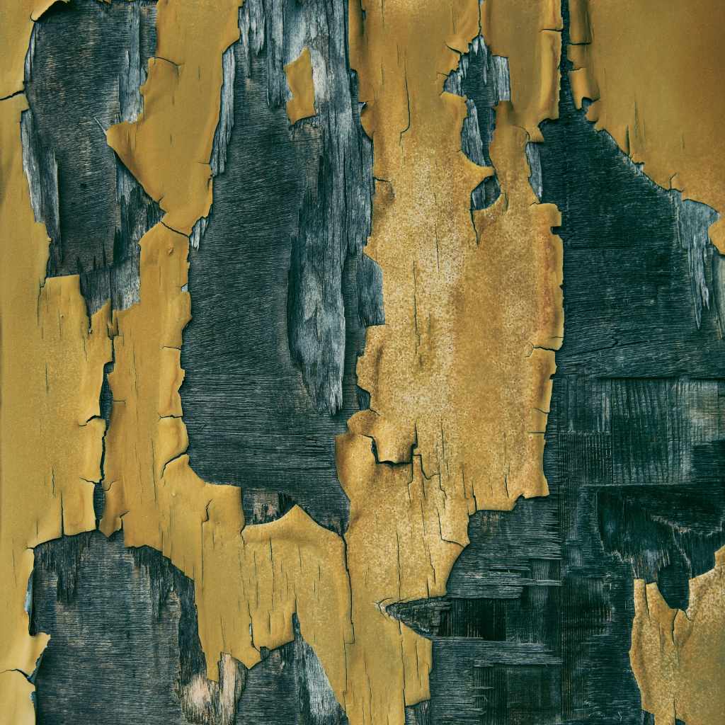 Best Way to Remove Flaking Paint