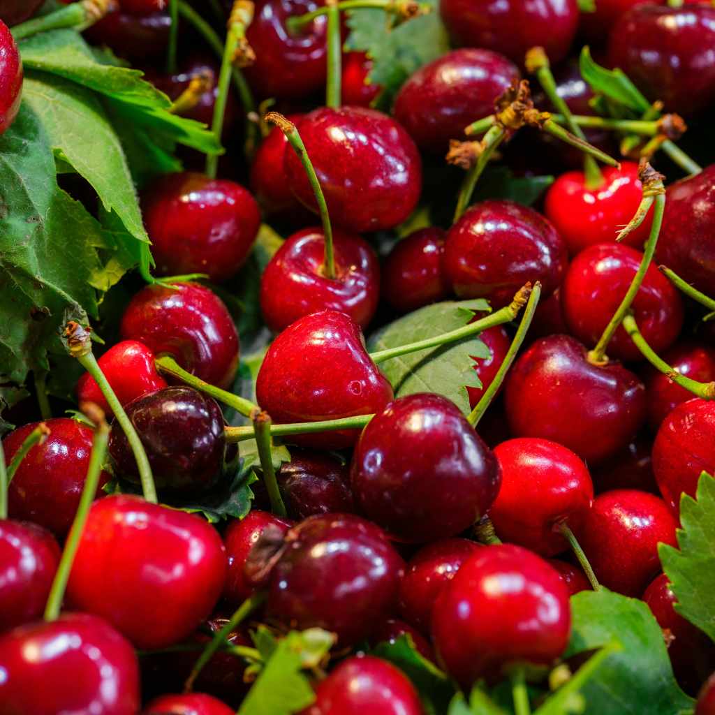 Are Black Cherries Healthier Than Bing Cherries?