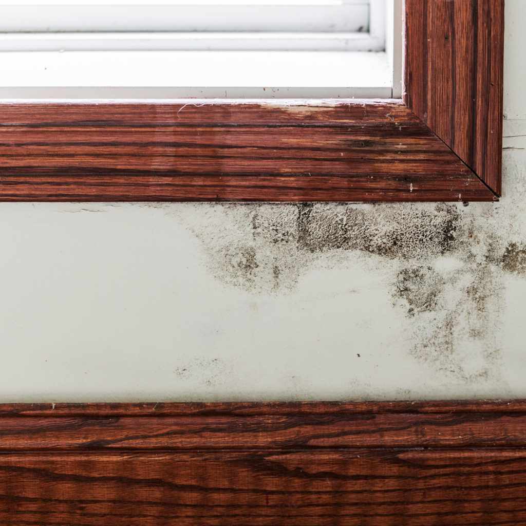 Quick Comparison Table