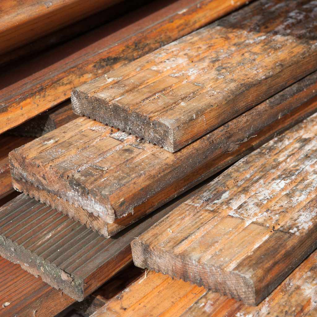 Can Mold Grow Under Hardwood Floors Warning Signs