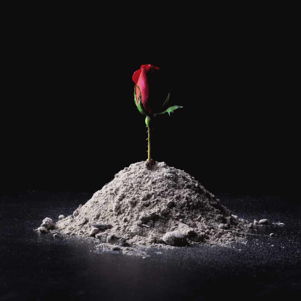 The Essential Role of Embers