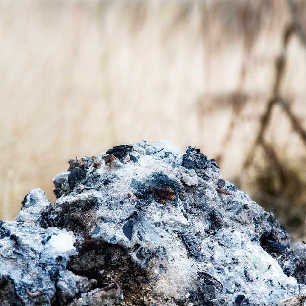 Is Wood Ash Good For Roses