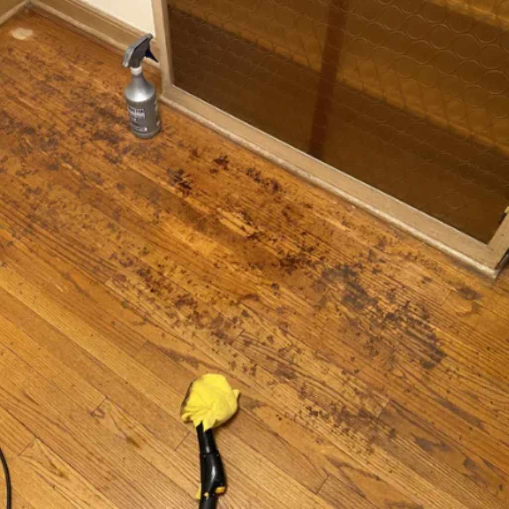 Prepare The Hardwood Surface