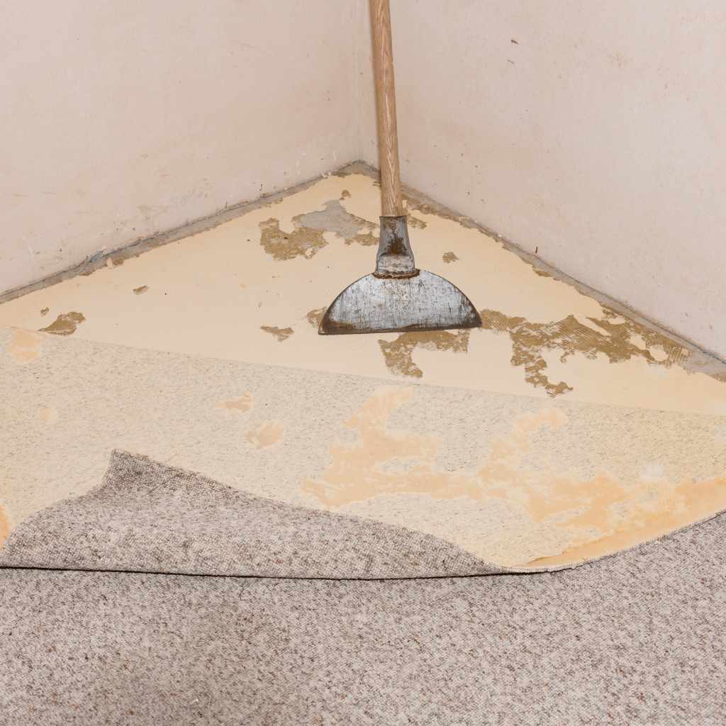 Preventing Future Adhesion