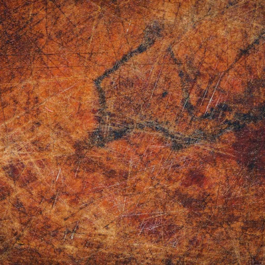 Gather Essential Tools