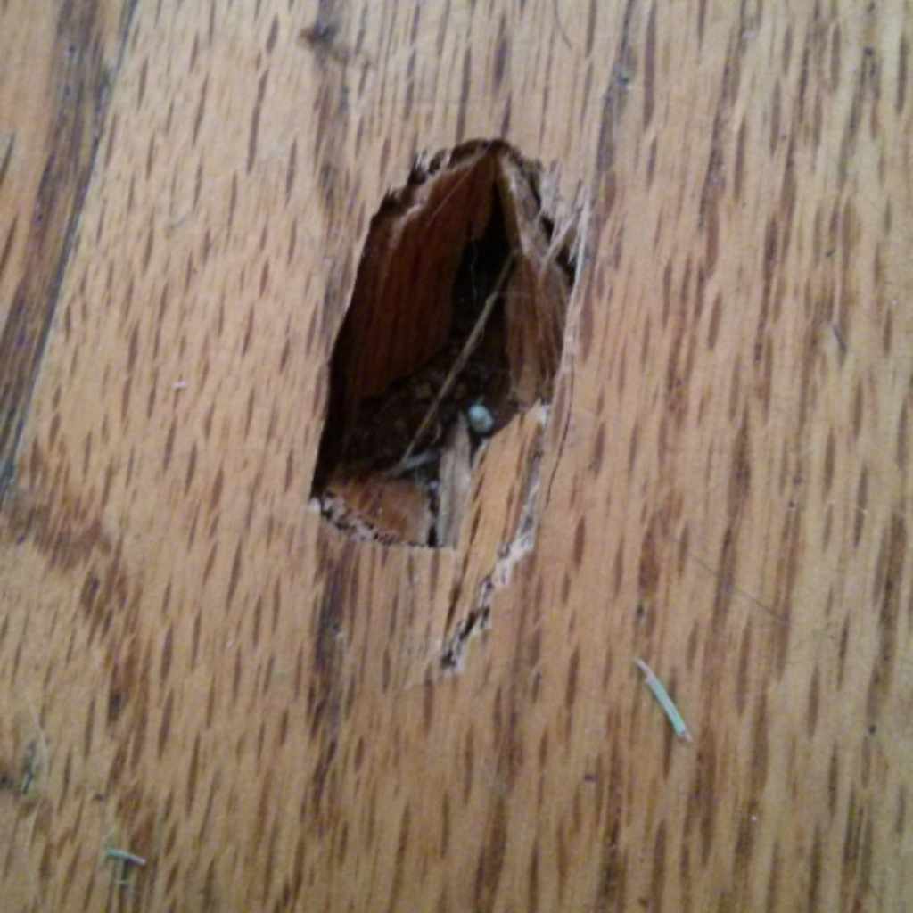 Gathering Tools And Materials