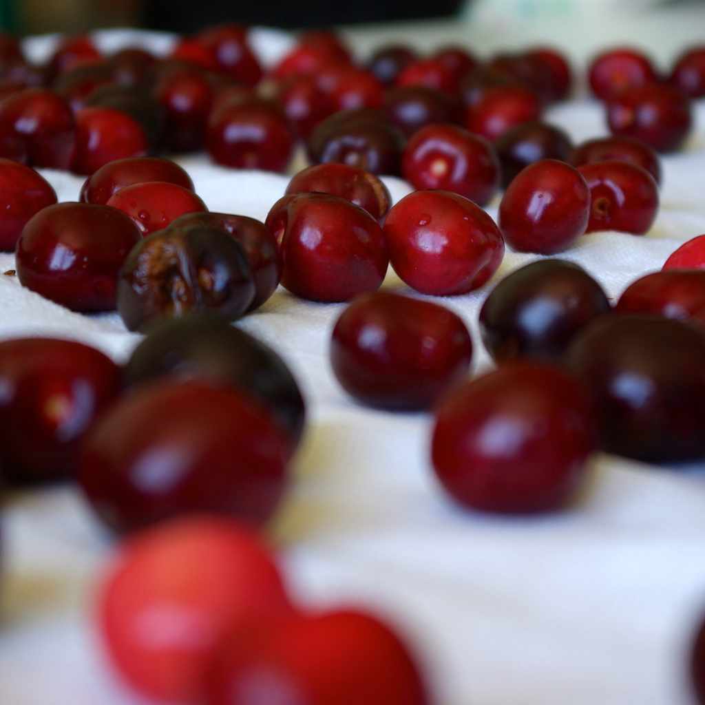 Comparing Pitting Methods