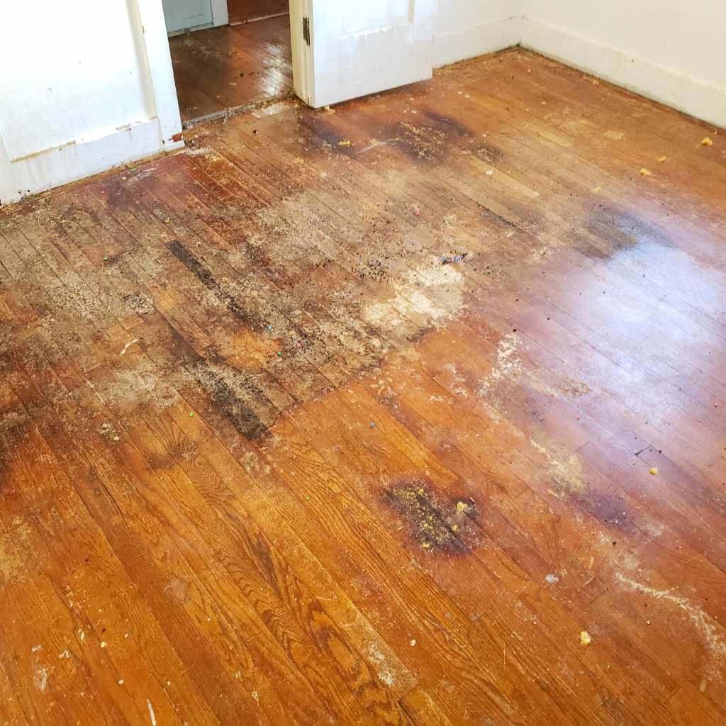 Exploring Prefinished Wood Floors