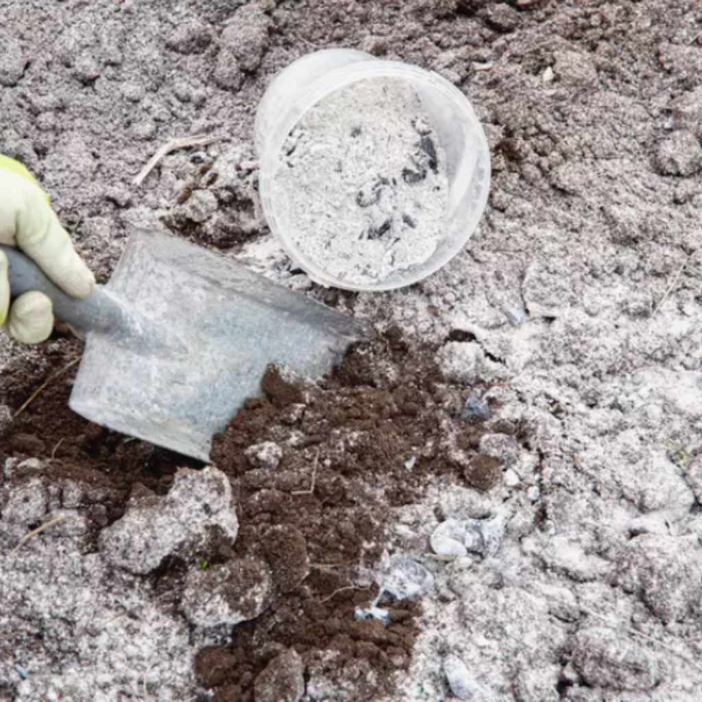 What Plants Like Wood Ash