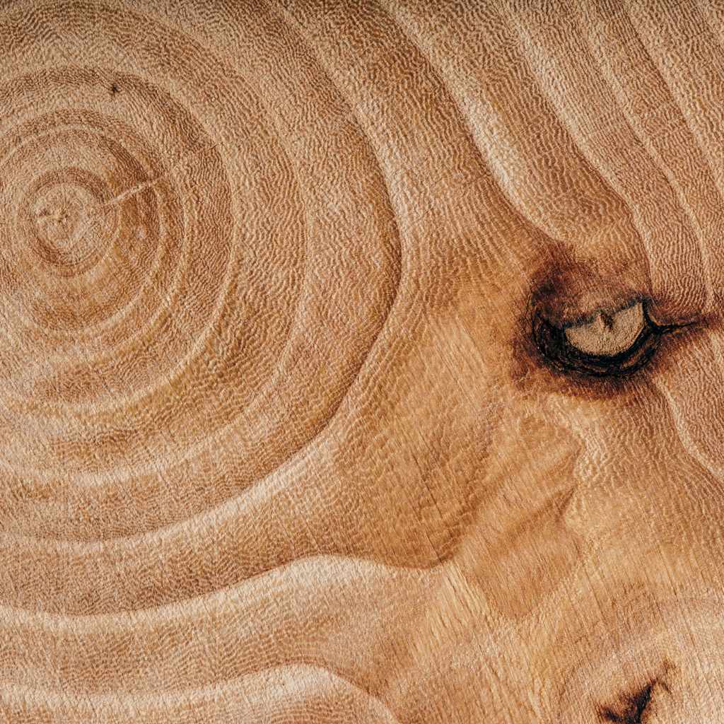 Where Can I Buy Wood Ash