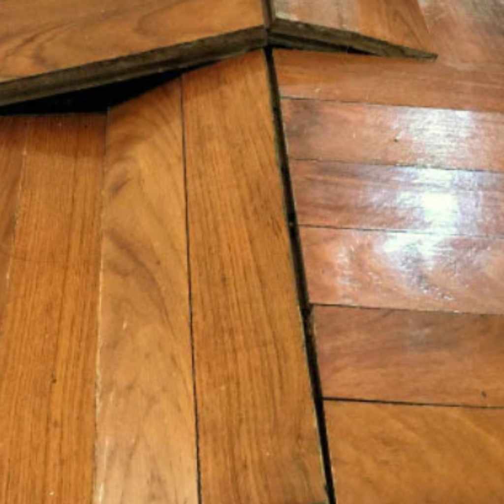 Career, Achievements And Controversies