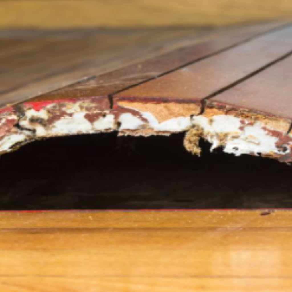 Why is My Hardwood Floor Buckling